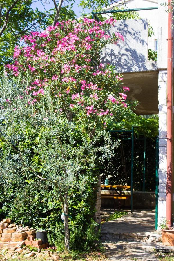 Bilini Garden Apartment Pula Eksteriør billede